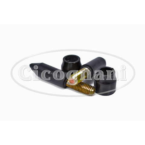 Ferrari 208/308/328 GTS Roof Front Positioning Pins & Caps